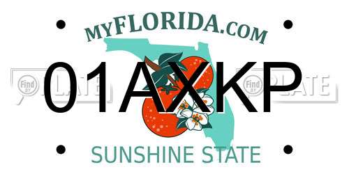 01AXKP Florida License Plate