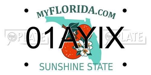 01AYIX Florida License Plate