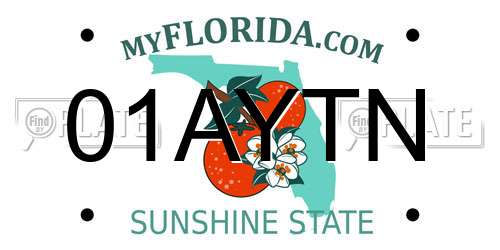 01AYTN Florida License Plate