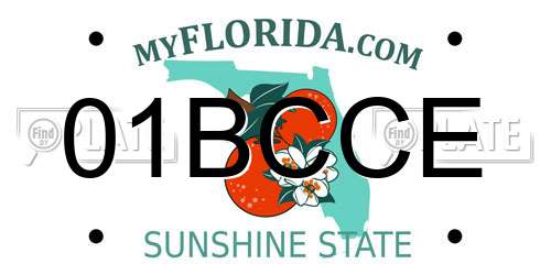 01BCCE Florida License Plate
