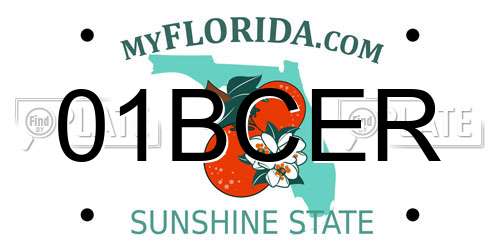 01BCER Florida License Plate