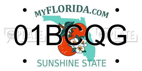 01BCQG Florida License Plate
