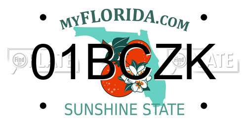 01BCZK Florida License Plate