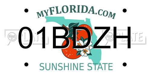 01BDZH Florida License Plate