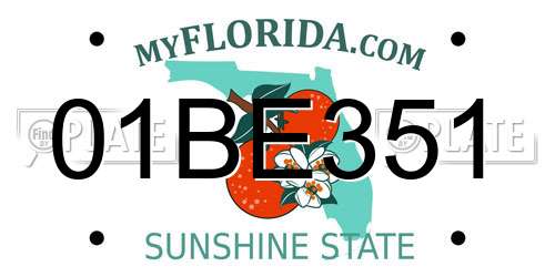 01BE351 Florida License Plate