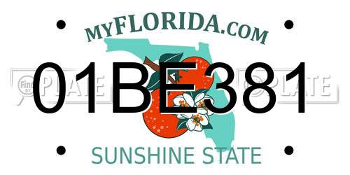 01BE381 Florida License Plate