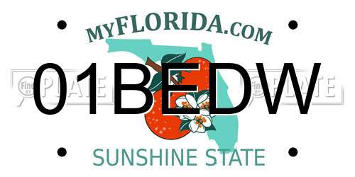 01BEDW Florida License Plate