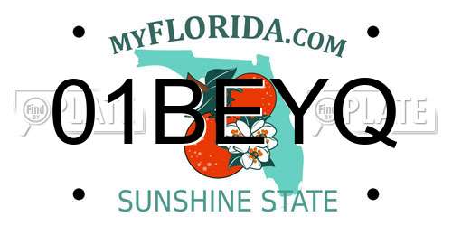 01BEYQ Florida License Plate