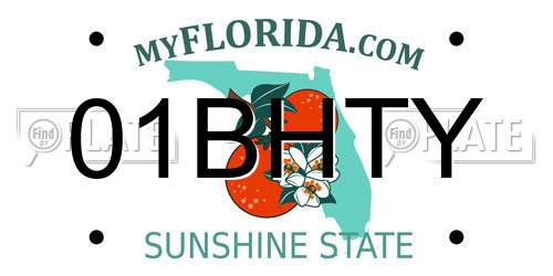 01BHTY Florida License Plate