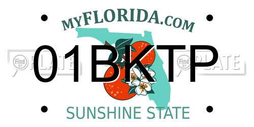 01BKTP Florida License Plate