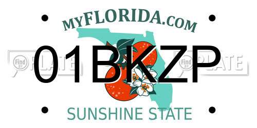 01BKZP Florida License Plate