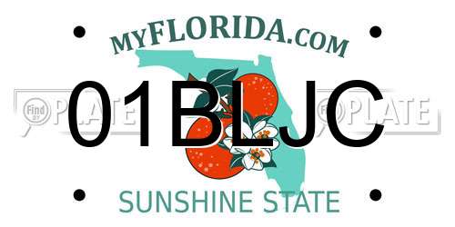 01BLJC Florida License Plate