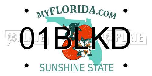 01BLKD Florida License Plate