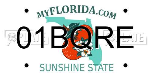 01BQRE Florida License Plate
