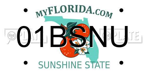 01BSNU Florida License Plate