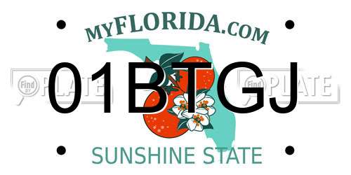 01BTGJ Florida License Plate