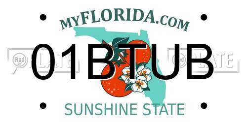 01BTUB Florida License Plate