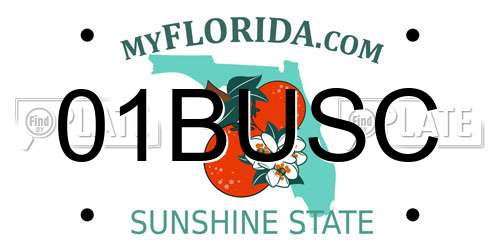 01BUSC Florida License Plate