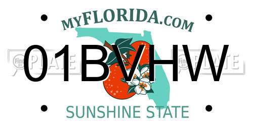 01BVHW Florida License Plate
