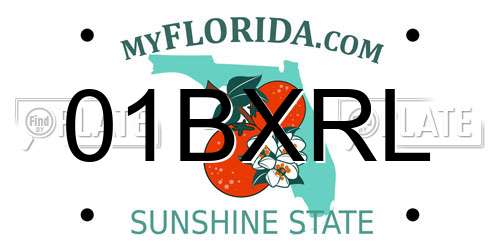01BXRL Florida License Plate