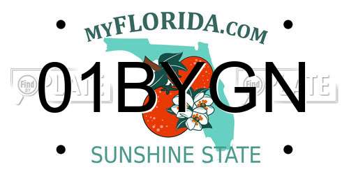 01BYGN Florida License Plate