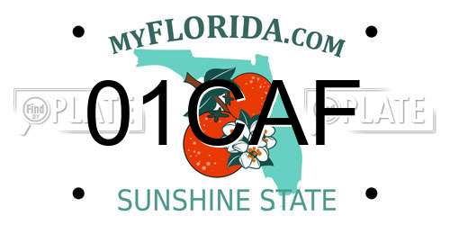 01CAF Florida License Plate