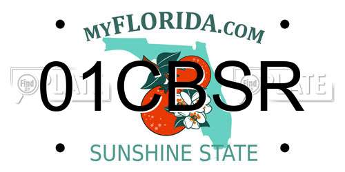 01CBSR Florida License Plate