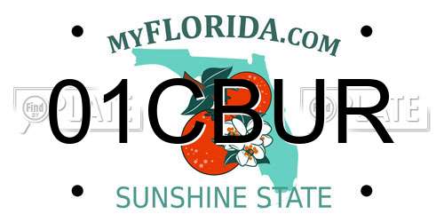 01CBUR Florida License Plate