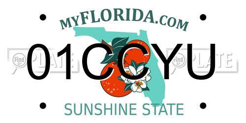 01CCYU Florida License Plate