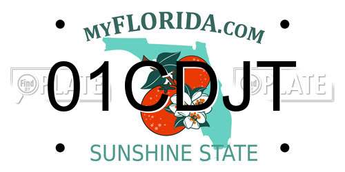 01CDJT Florida License Plate