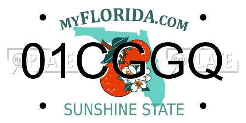 01CGGQ Florida License Plate