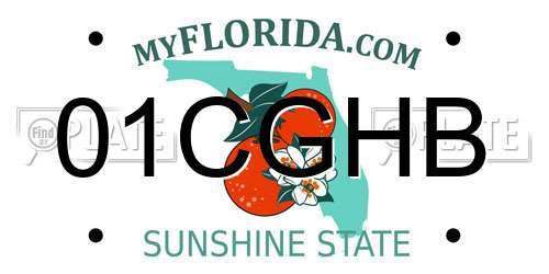 01CGHB Florida License Plate
