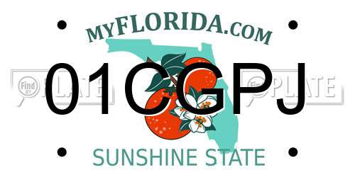 01CGPJ Florida License Plate