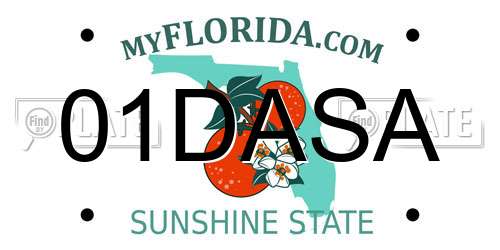 01DASA Florida License Plate