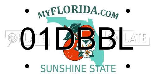 01DBBL Florida License Plate