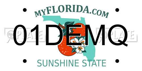 01DEMQ Florida License Plate