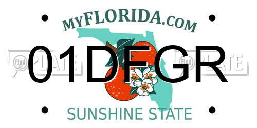 01DFGR Florida License Plate