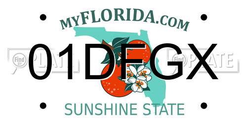 01DFGX Florida License Plate