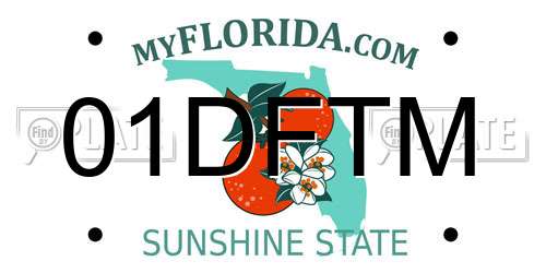 01DFTM Florida License Plate