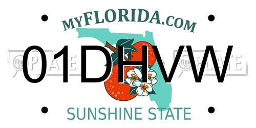 01DHVW Florida License Plate