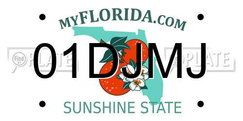 01DJMJ Florida License Plate