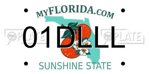 01DLLL Florida License Plate