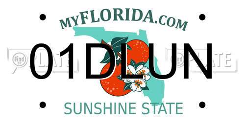 01DLUN Florida License Plate