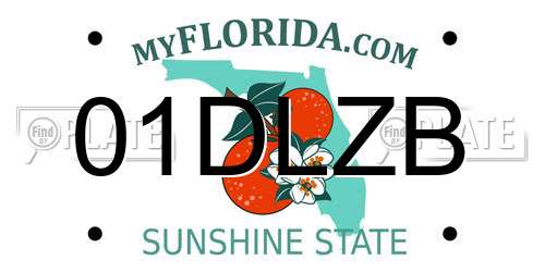 01DLZB Florida License Plate