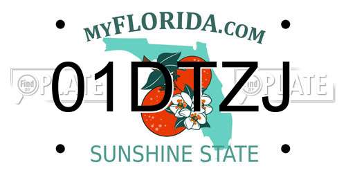 01DTZJ Florida License Plate