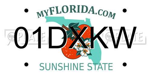 01DXKW Florida License Plate