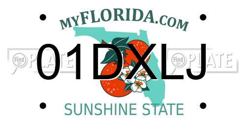01DXLJ Florida License Plate