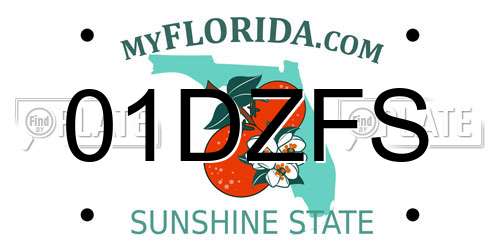 01DZFS Florida License Plate
