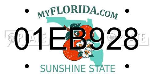 01EB928 Florida License Plate