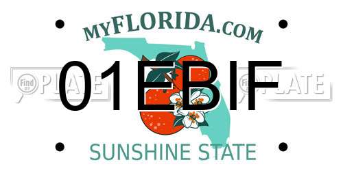 01EBIF Florida License Plate